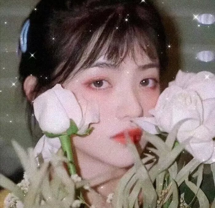 小松鼠大侦探