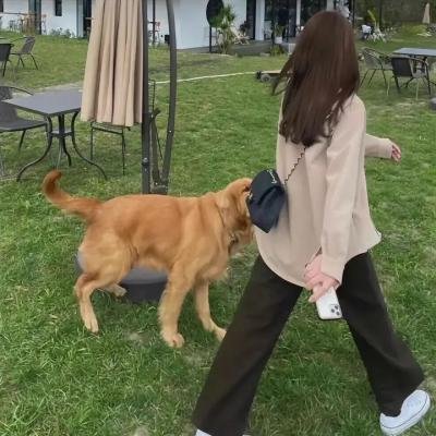 皮尔普斯一家